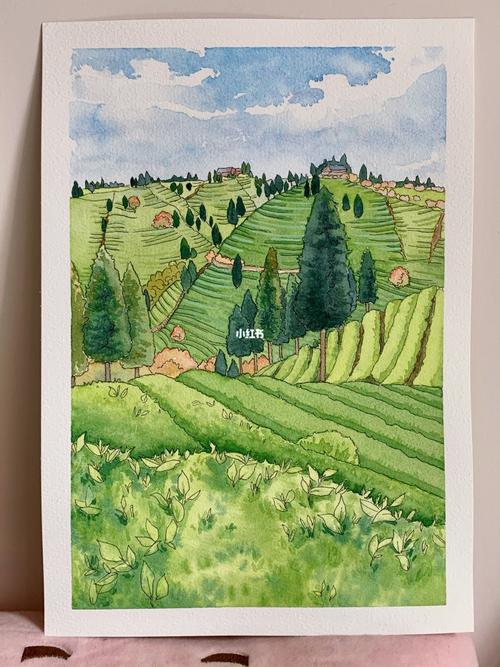 万亩茶园风光_水彩画_风景_绘画_水彩风景_文化_绘画