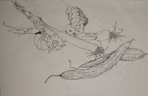 果蔬类(写生)手绘小稿|纯艺术|绘画|偙濎 - 原创作品