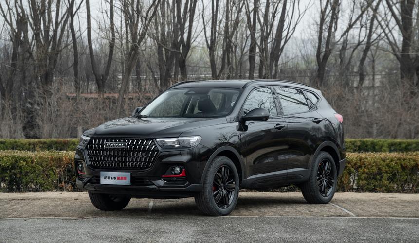 哈弗h6国潮版车主访谈走上国潮觉醒之路