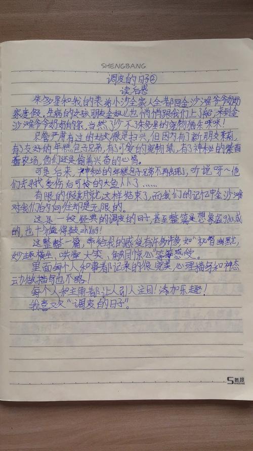 调皮的日子2