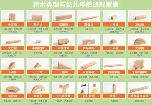 积木数量336块,积木形状18种,环创材料1套,建构图卡1套,主题辅材包1套