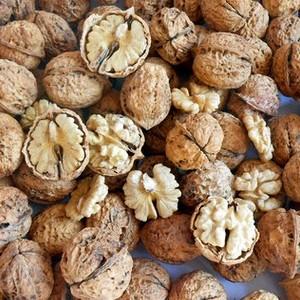 供应 精品干果云南麻核桃原生态核桃无漂白500g