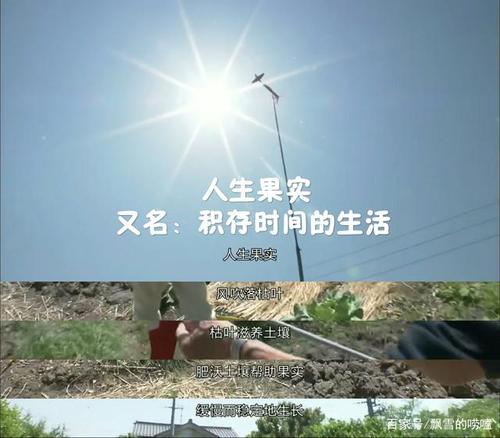 治愈纪录片《人生果实》,让人羡慕的田园生活,温馨又