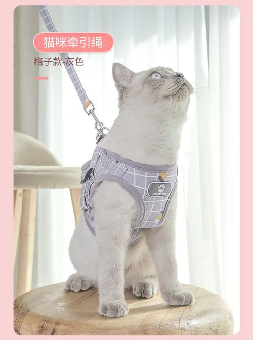 猫牵引绳背心式防挣脱可调节遛猫绳子可爱幼猫外出胸背带猫咪专用