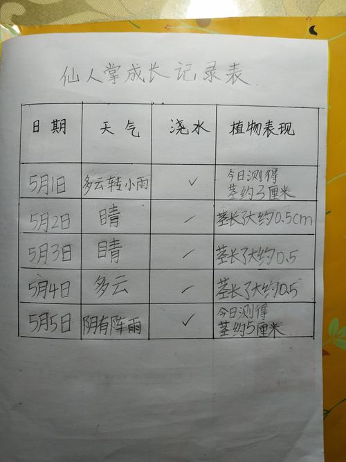 绘制了一张简单的成长记录表,因为时间短,仙人掌的变化不是很大,有