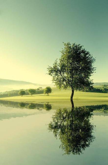 人生,因静而从容,因从容而优雅.