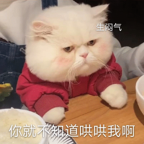 生闷气你就不知道哄哄我啊(喵星人表情包)_喵星人_生