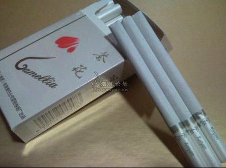 谁知道哪有卖茶花烟的?