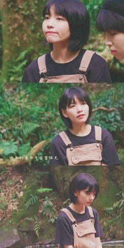 房东的猫高清头像壁纸图