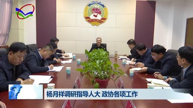 柳林杨月祥调研指导人大政协各项工作