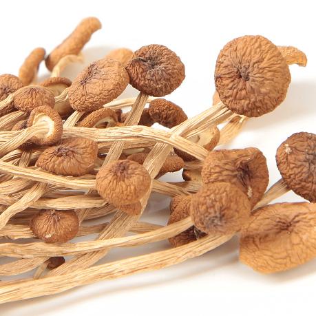 江西广昌特产茶树菇食品500g