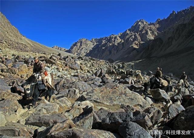 昆仑山深处有什么?为何会被列为禁区?因为37年的一件