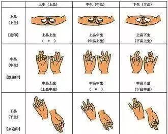 佛像的手势大全:看懂了你就是行家