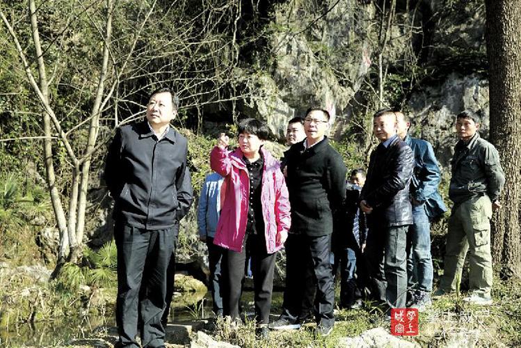 市委副书记,市长王远鹤(左一)在崇阳县天城镇茅井村调研