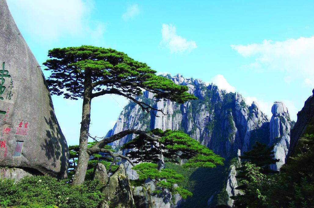 黄山是安徽旅游的标志,是中国十大风景名胜唯一的山岳风光.