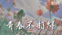王梓钰 - 青春不打烊【动态歌词/lyrics video】