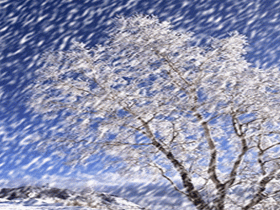 你那里下雪了吗?你知道雪是什么样子的吗?白白的纯洁的.