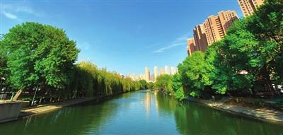 南运河畔水清岸绿