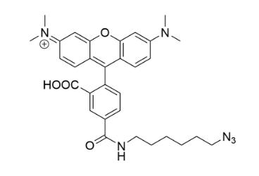 5-tamra azide,5-羧基四甲基罗丹明叠氮