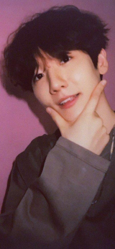 边伯贤 富川一枝花