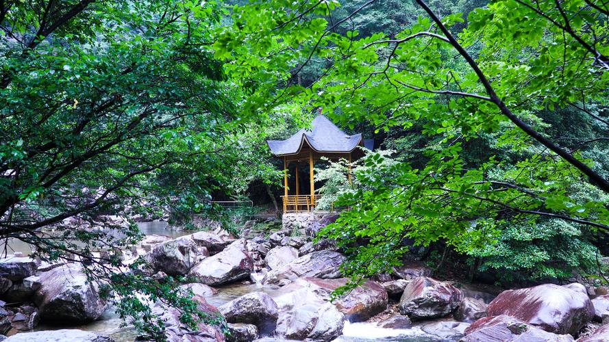 【天目山】山林峡谷处,薄雾笼罩,冰川之感