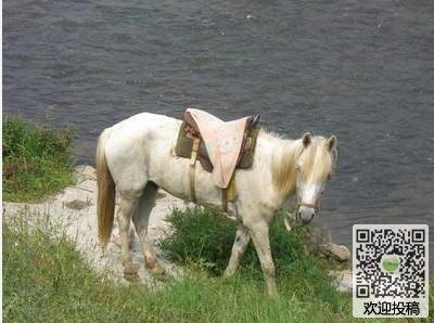 白龙马(动漫《西游记》主题曲)歌词