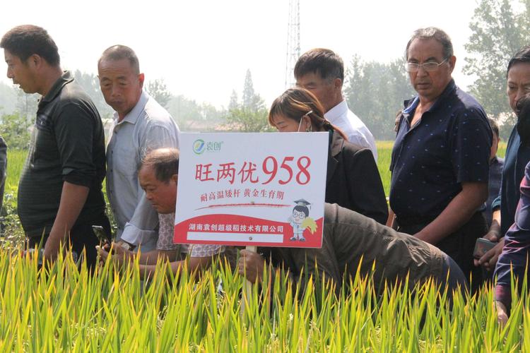 贺 亿丰农资2019秋季水稻观摩会圆满成功