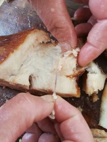 煮熟的猪肉肥肉里有血管似的条状东西