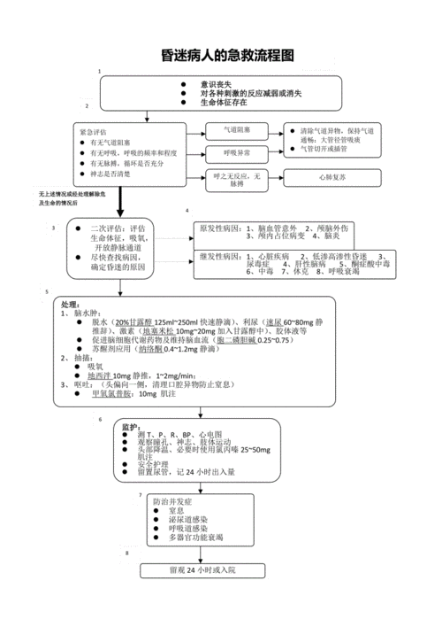 昏迷病人的急救流程图.doc