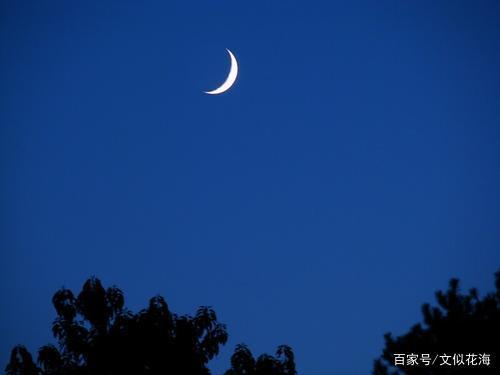 部编版四年级下语文期末句子专项训练(含答案)