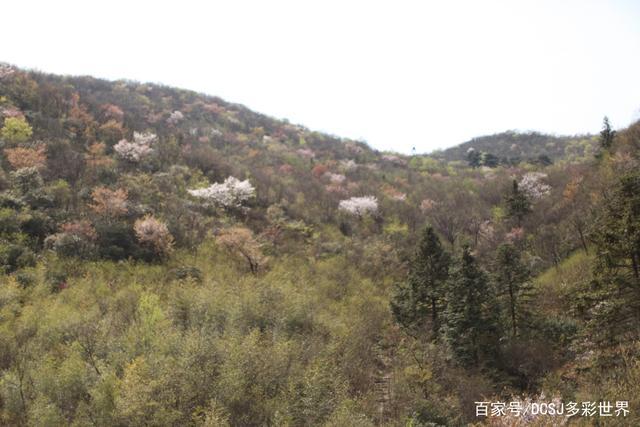 杭州周边第一高峰——窑头山