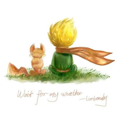 在玫瑰花园,小王子意识到他的玫瑰是普通的玫瑰,可是,最后狐狸被他