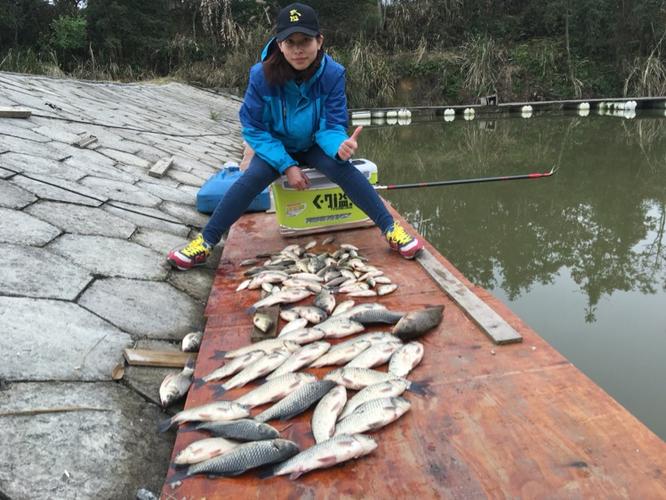 石龟水库钓鲫鱼爆护