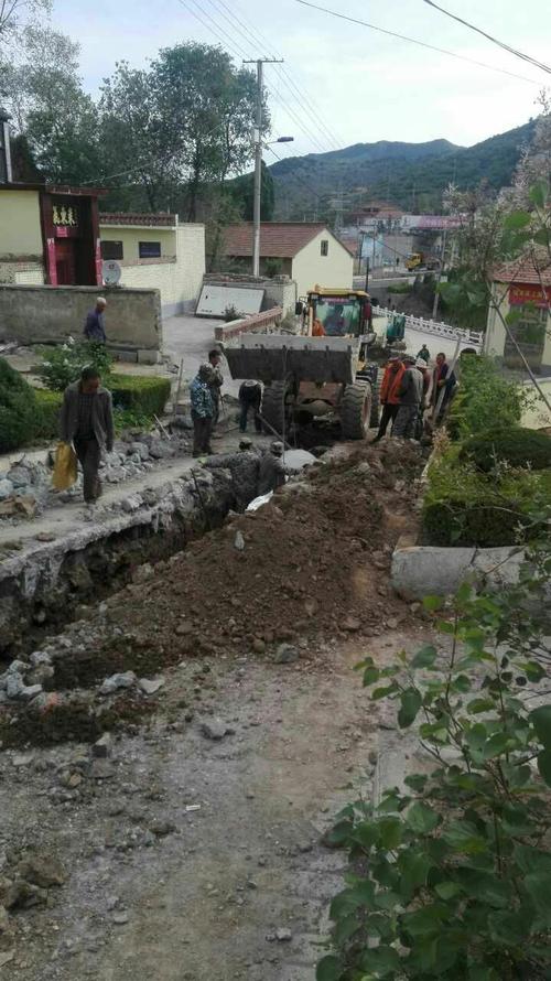 龙溪镇今日动态