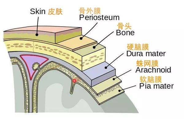 孩子发烧最怕什么?谈谈脑膜炎