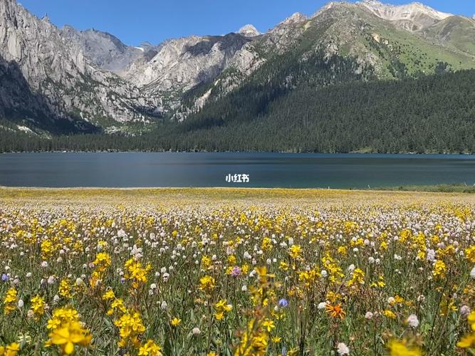 巴塘措普沟_巴塘措普沟景区_景点_宁静_措普湖_措普沟