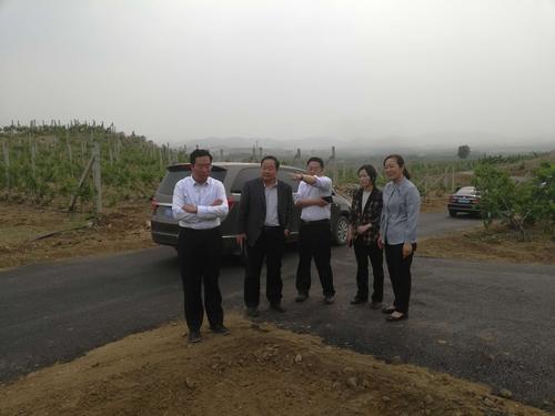 泗水县乡村振兴指挥部督导圣水峪片区建设