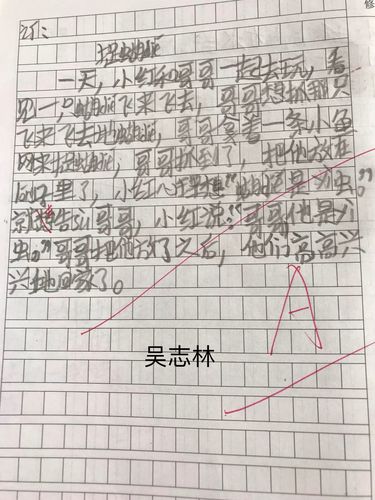 其它 综合测试卷二:捉蝴蝶 写美篇
