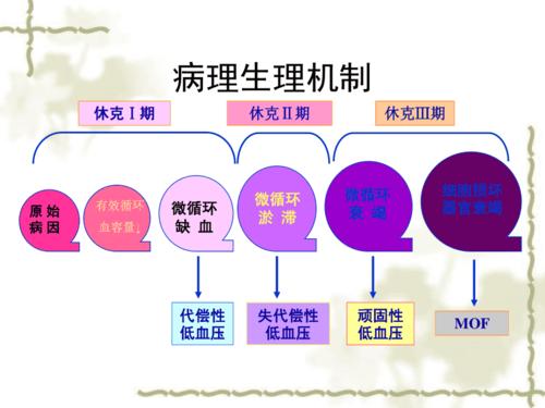 低血容量性 休克 ppt课件