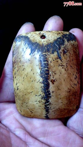 藏传密宗老灵骨