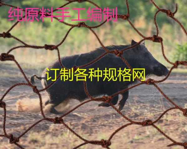 订制网 山羊网 围网 麂子网 防野猪网 毫米 5 绳粗 野