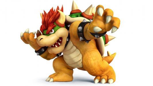 bowser图片