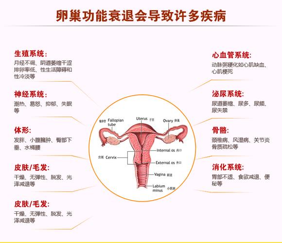 美容院卵巢保养项目