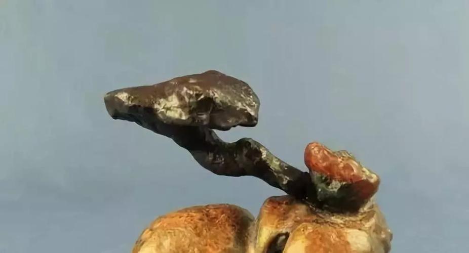 与历经千百年之久才干成型的野生灵芝相比,能长成灵芝形的石头,其稀有