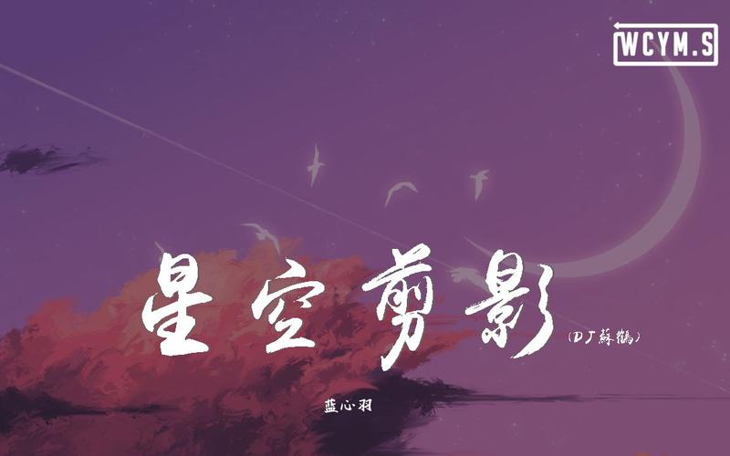 蓝心羽星空剪影dj苏鹤版动态歌词pīnyīngēcí