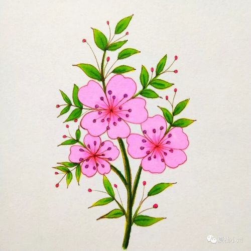 绘画花朵