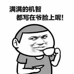 求机智表情包大图