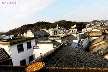 竦口村位于安徽省黄山市歙县桂林镇,村部历史悠久,可追溯至唐永徽五年