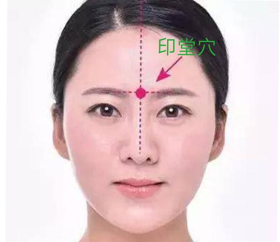 人体主要穴位位置图(三)