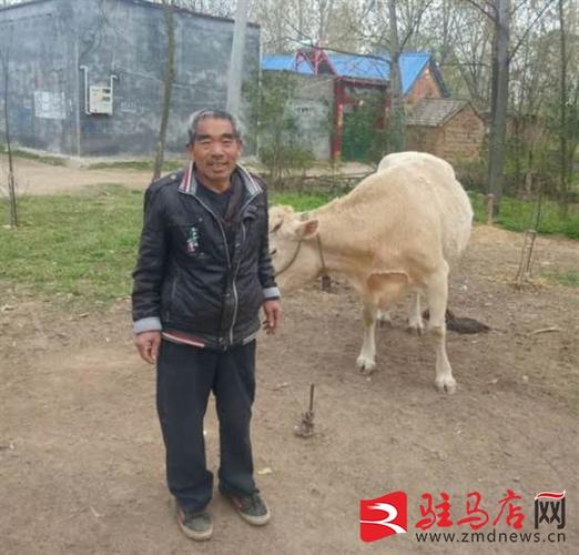 泌阳县下碑寺乡:幸福生活是干出来的
